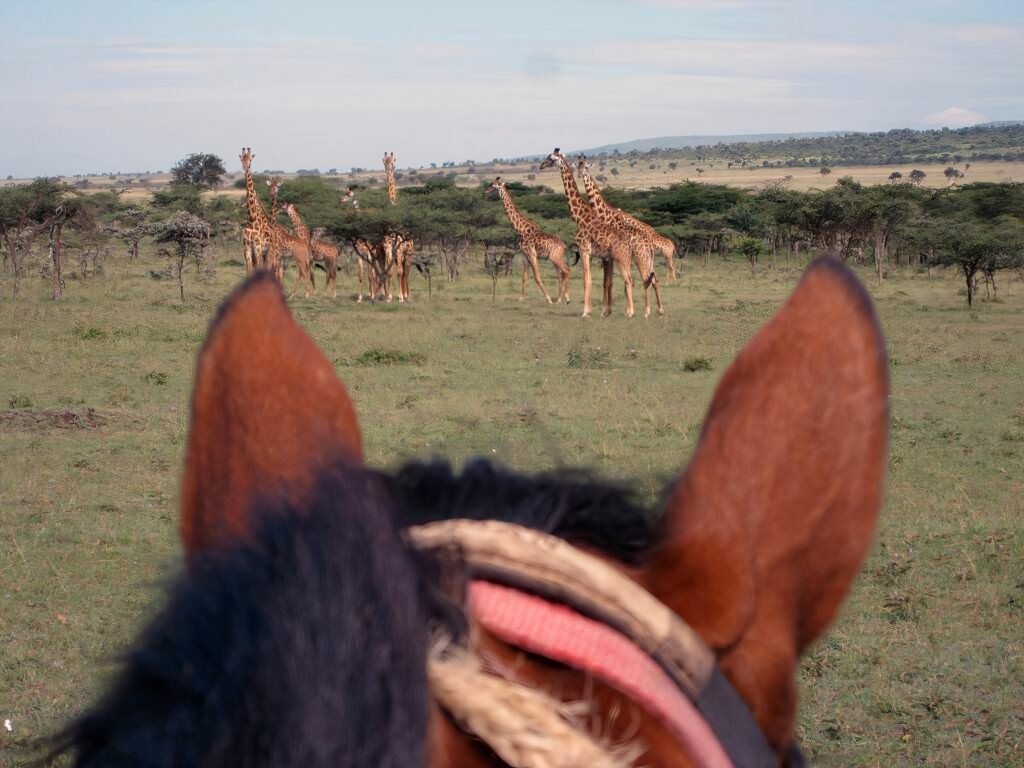 Horseback safari in the masai mara, kenya