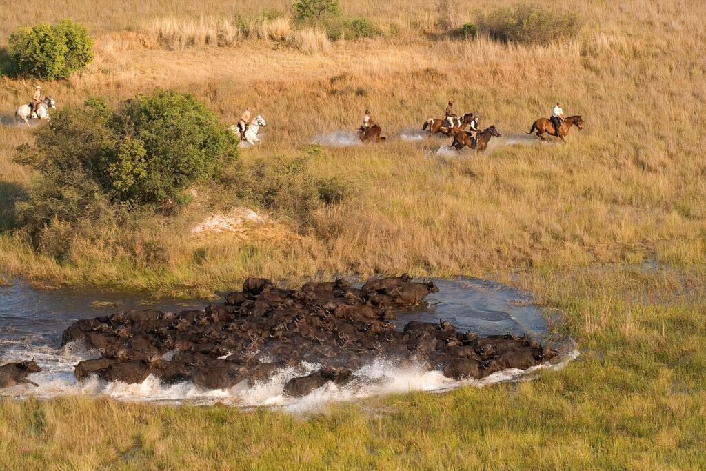 Horseback Safari in Okavango delta in Botswana