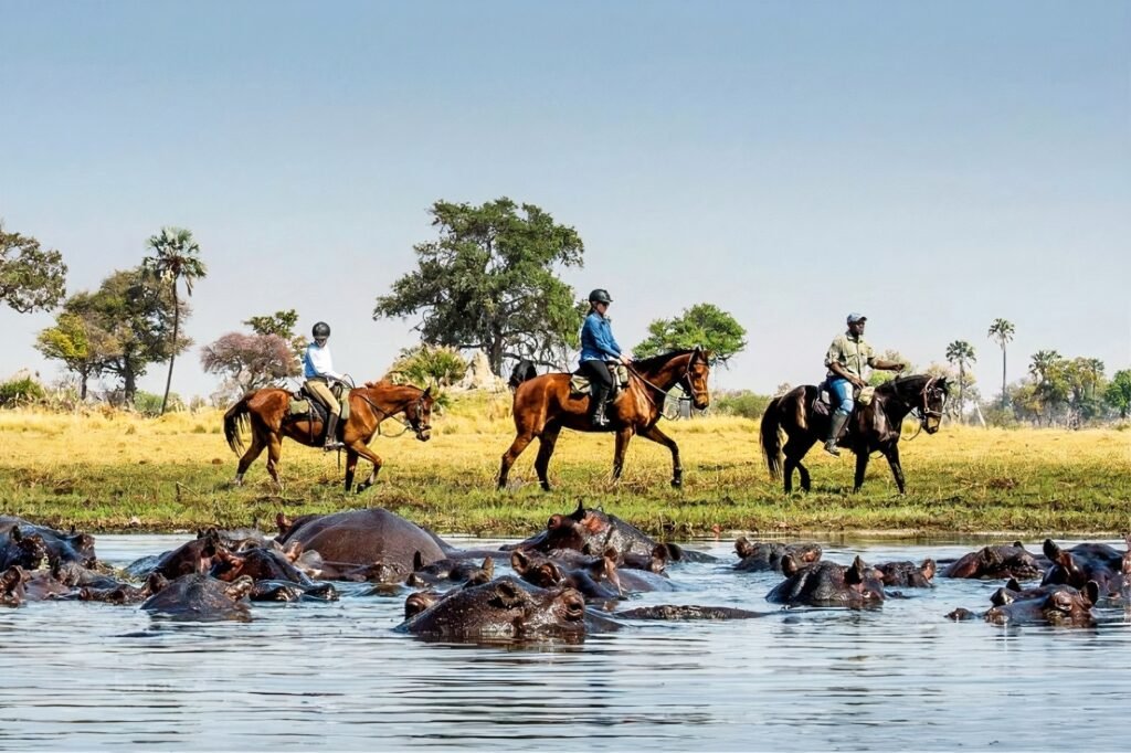 Okavango delta horseback safari in Botswana