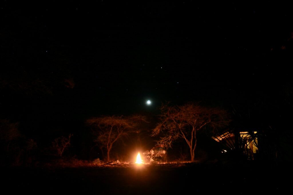 Safari nights in kenya